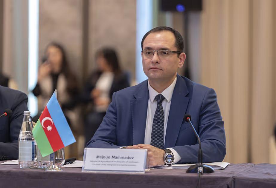 Məcnun Məmmədov şöbə müdiri də təyin etdi