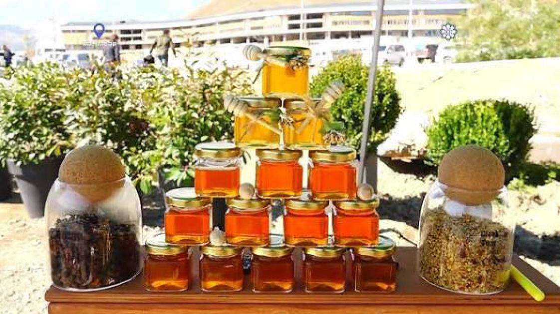 Kəlbəcərdə Bal Festivalını açılışı oldu