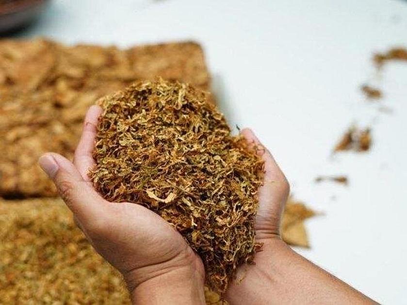 Azərbaycan 9 ayda nə qədər tütün idxal edib?