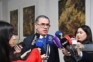 "Media öz işini dili qorumaq istiqamətində qurmalıdır"