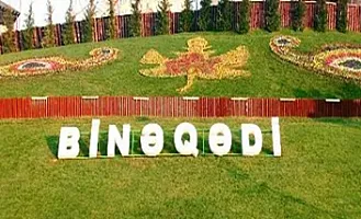 Dəhşətli hadisə- 18 yaşlı gənc