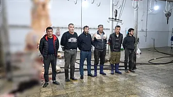 Bakıda 2 ton yararsız ət 