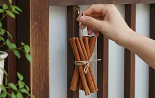 Yaponlar niyə qapılarından darçın asırlar?