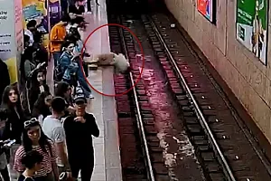 Bakı metrosunda qatar relslərinə düşənlər -