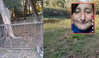 Qərənfil Seymurla evli olubmuş, ördəyi də pay veribmiş... 