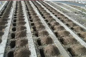 Ərzurumda 2000 məzar 