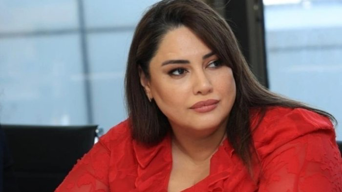 Aytən Səfərova qiymət artımından