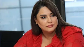 Aytən Səfərova qiymət artımından
