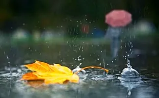 Yağıntılı hava bu tarixədək