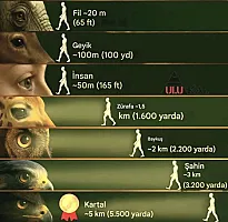 Heyvanlar insanı nə qədər uzaqdan tanıya bilir?-
