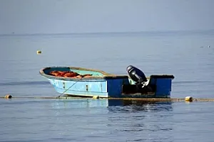 Balıqçılardan ikincisinin də