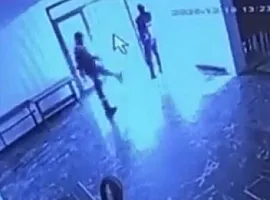 Vəzifəli şəxs pişiyi təpiklədi - 