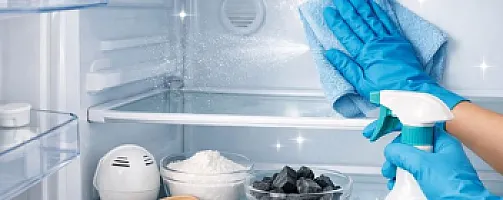 Soyuducunuzu mükəmməl parlaqlıqda necə təmizləmək olar və xoşagəlməz qoxuları birdəfəlik necə unutmaq olar?