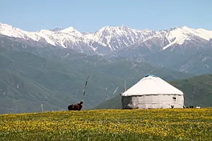 Bir alpinist həlak olub, daha ikisi itkin düşüb-
