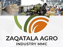 Məşhur tütün şirkəti külli miqdarda borca düşüb