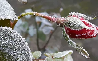 Qədim Azərbaycan kəndində 37 dərəcə şaxta qeydə alınıb 