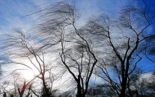Küləkli hava ilə bağlı