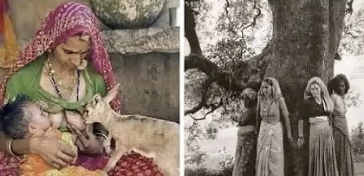 Öz körpələri ilə yanaşı heyvan balalarını da əmizdirən