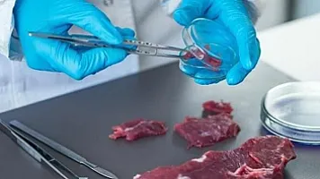 Bahalaşmaya alternativ ÇÖZÜM –