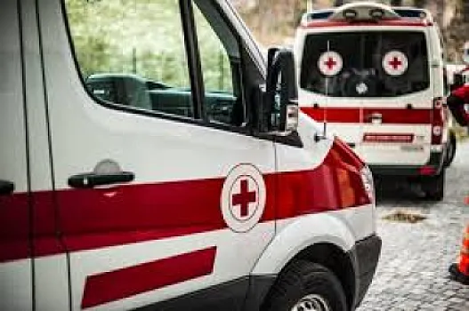 Qadın quduz pişik tərəfindən sancıldıqdan sonra ölüb