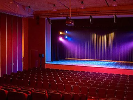 Dövlət teatrlarında baş rejissor ştatı ləğv edildi