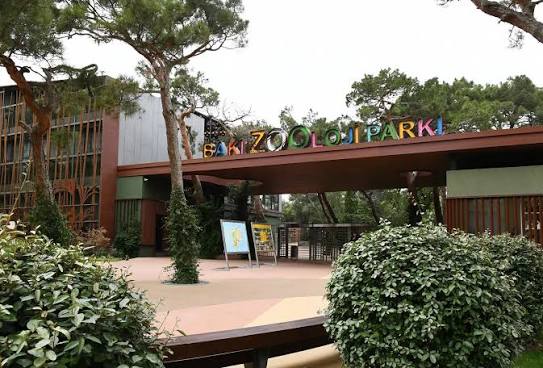 Bakı zooparkının təmizlənməsinə nə qədər pul xərclənir?
