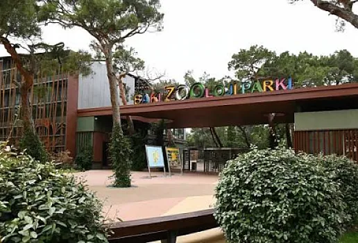 Bakı zooparkının təmizlənməsinə nə qədər pul xərclənir?