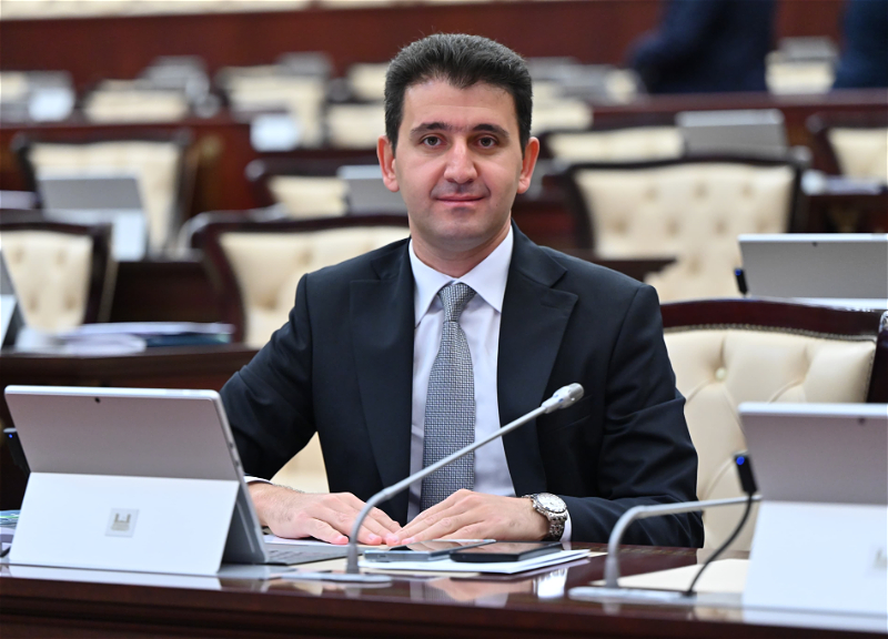 Millət vəkili: "Əsassız fərziyyələrə deyil, faktlara inanın" -