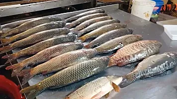 Bakı bazarlarında balıq da bahalaşdı - 