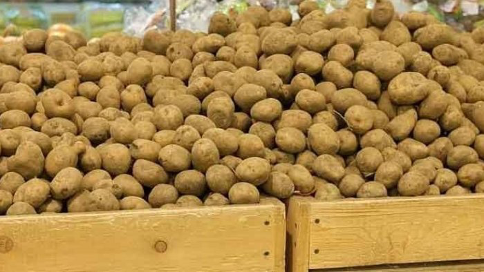 "Gədəbəy kartofu” adı ilə satılsa da, bu ölkələrdən gətirilir... –