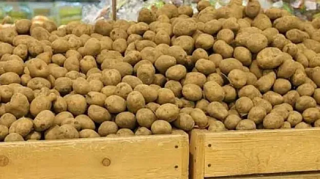 "Gədəbəy kartofu” adı ilə satılsa da, bu ölkələrdən gətirilir... –