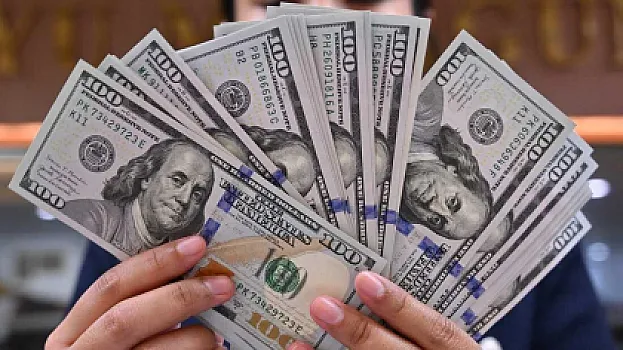 Ölkədə dollarlaşma azalır