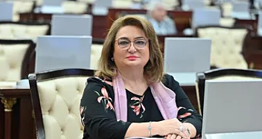 “Ölkəmizə qarşı aparılan  təbliğat  nəticəsiz qalacaq”