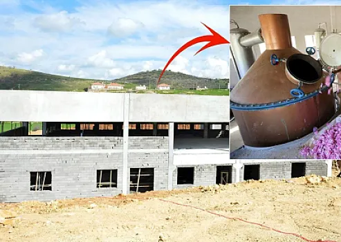 Tanınmış müğənni var-dövlətini satıb biznes qurdu