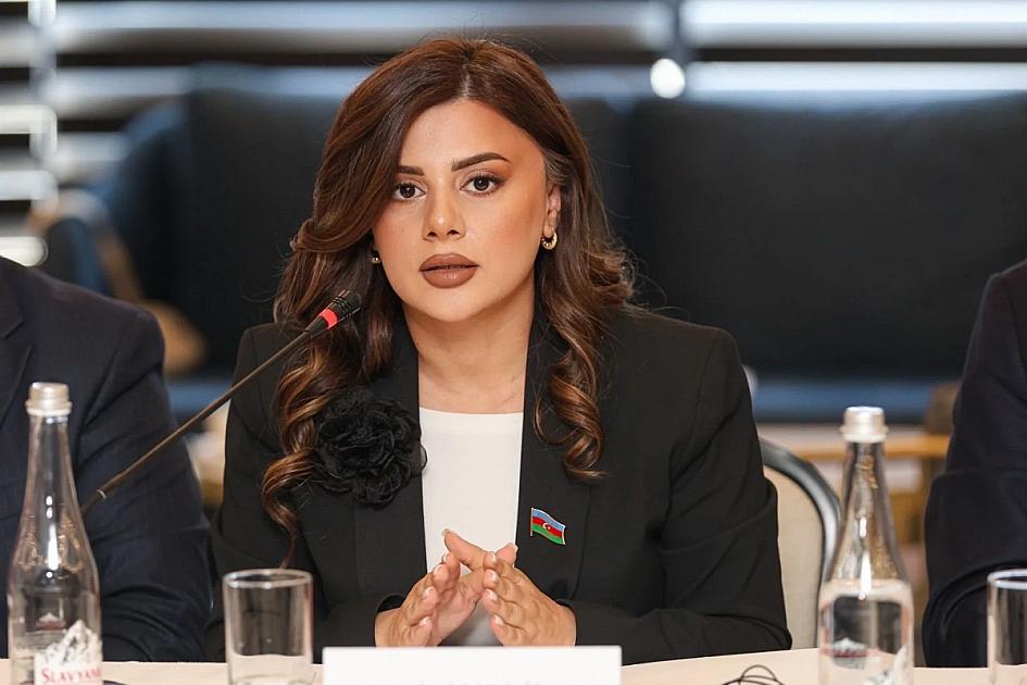 Azərbaycan–Çexiya münasibətləri yeni mərhələdə:
