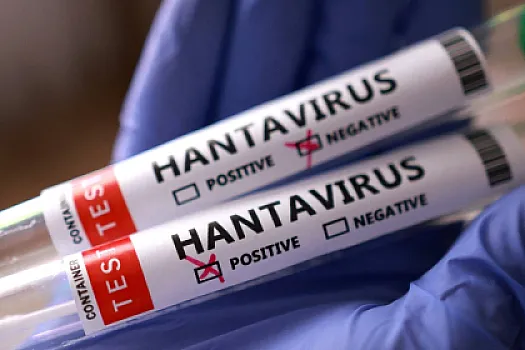 Hantaviruslu gəmi ilə bağlə qərar verildi
