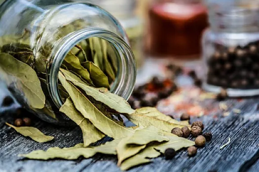 50 yaşdan sonra niyə dəfnə yarpağı gəzdirmək tövsiyə olunur?
