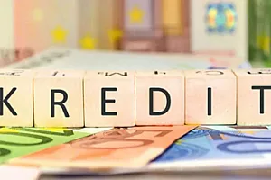 Vətəndaşlar ən çox nə üçün kredit götürürlər?