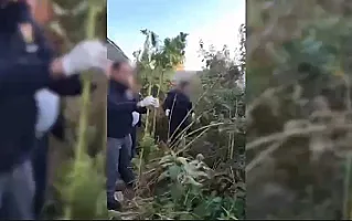 Naxçıvan polisi əməliyyat keçirdi 