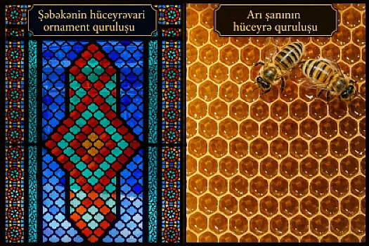 Şəbəkə pəncərələri və arı mumu: 