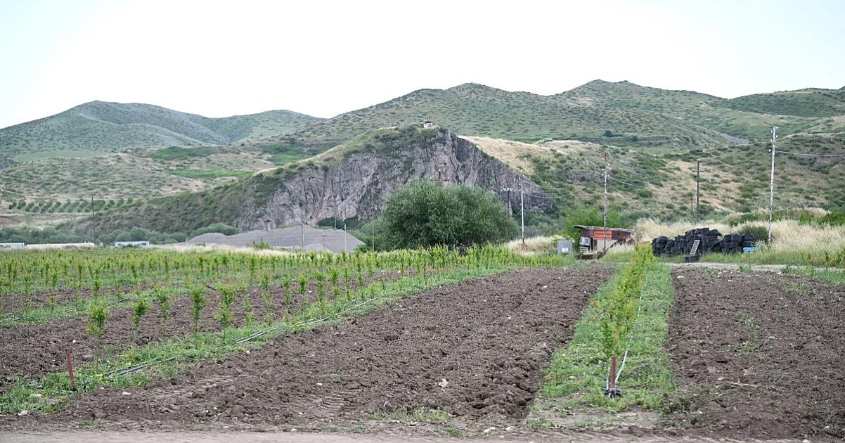 Xocalıda intensiv bağçılıq təsərrüfatları ilə tanışlıq olub