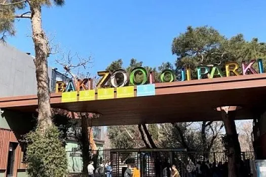 Bakı zooparkı ləğv olunur