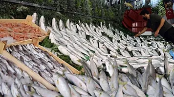Noyabrın ən sağlam və dadlı balıqları