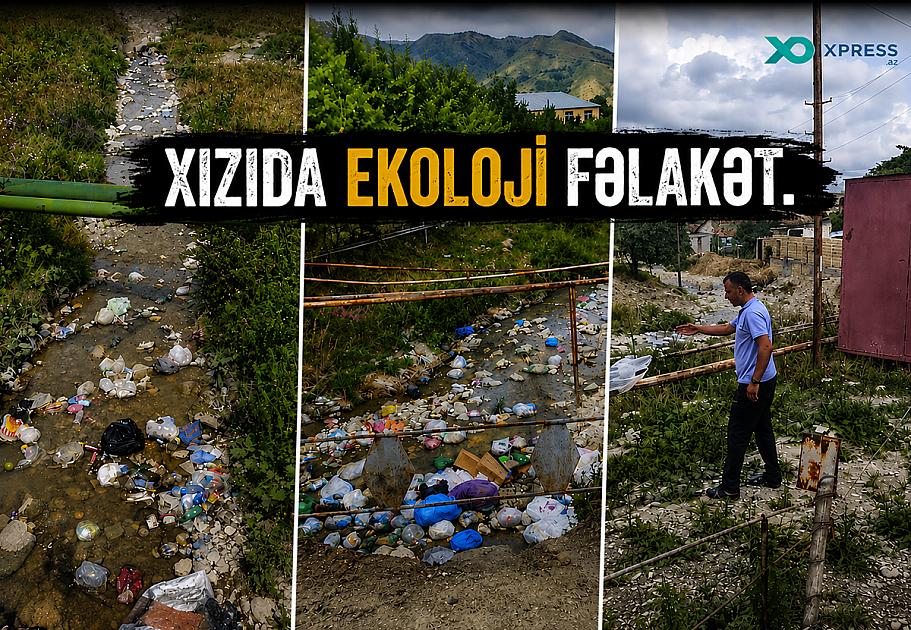 Altıağac Milli Parkında EKOLOJİ FƏLAKƏT – 