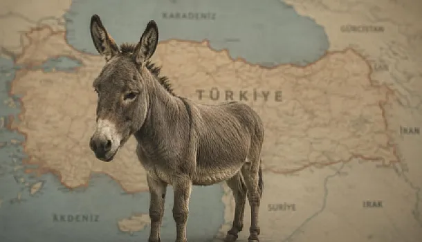 Eşşək əti qalmaqalı: Nazirlik daha 34 məhsulu ifşa etdi