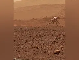 Marsda kameralara canlı varlıq yaxalanıb