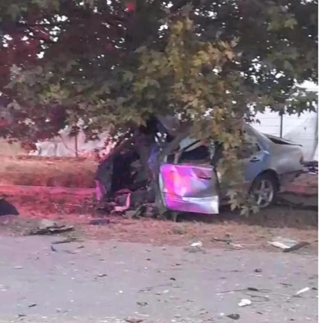"Mercedes" ağaca çırpıldı: Dövlət qurumunun əməkdaşı həlak oldu