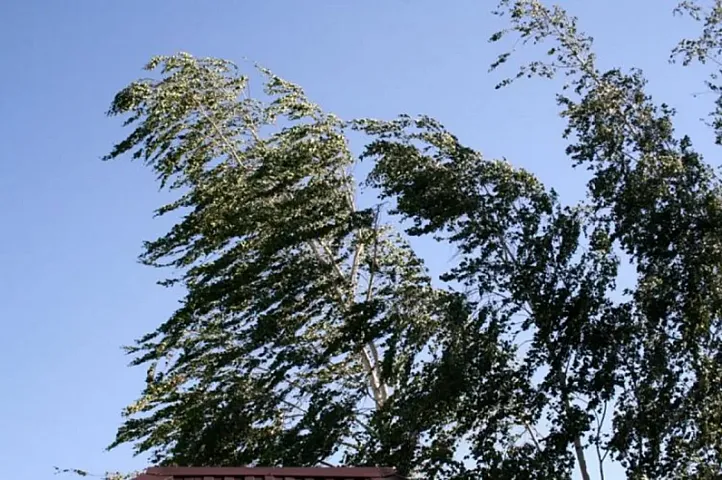 Hava ilə bağlı 