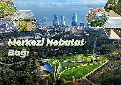 Nəbatat Bağında işıq şou instalyasiyası yaradılacaq - 